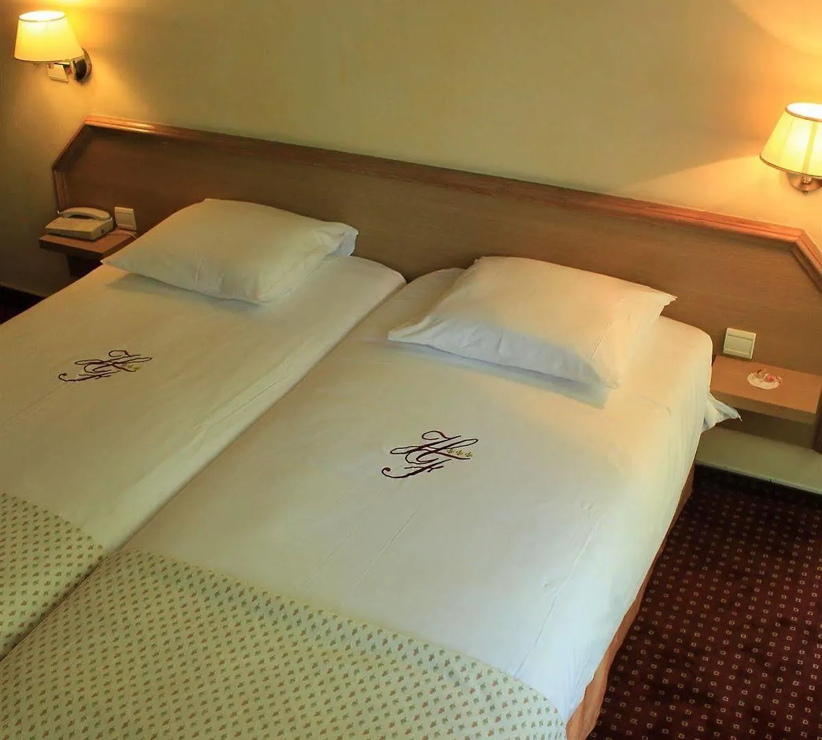 Hotel Foch Lyon
